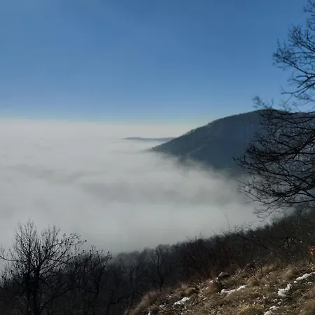 Wenckheim Vadaszhaz Oda ve Kahvaltı Nagyoroszi