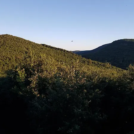 Oda ve Kahvaltı Wenckheim Vadaszhaz 3*