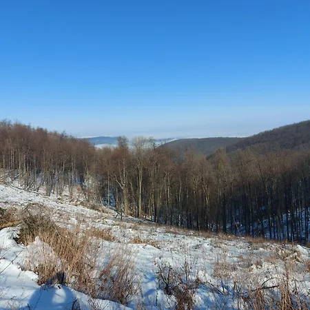 Wenckheim Vadaszhaz Oda ve Kahvaltı 3*