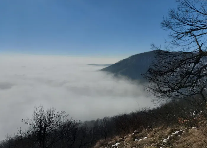 Wenckheim Vadaszhaz Oda ve Kahvaltı Nagyoroszi