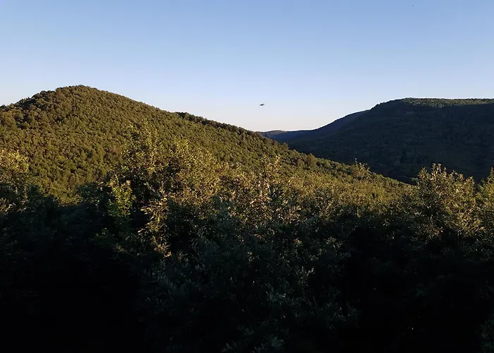 Oda ve Kahvaltı Wenckheim Vadaszhaz 3*