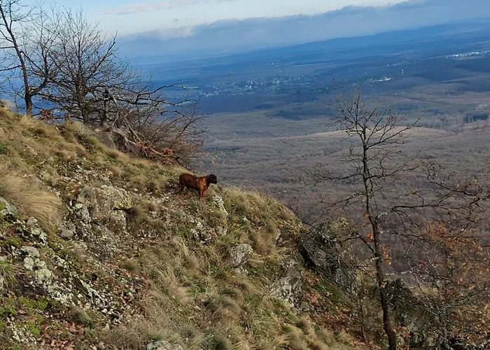 Wenckheim Vadaszhaz Oda ve Kahvaltı